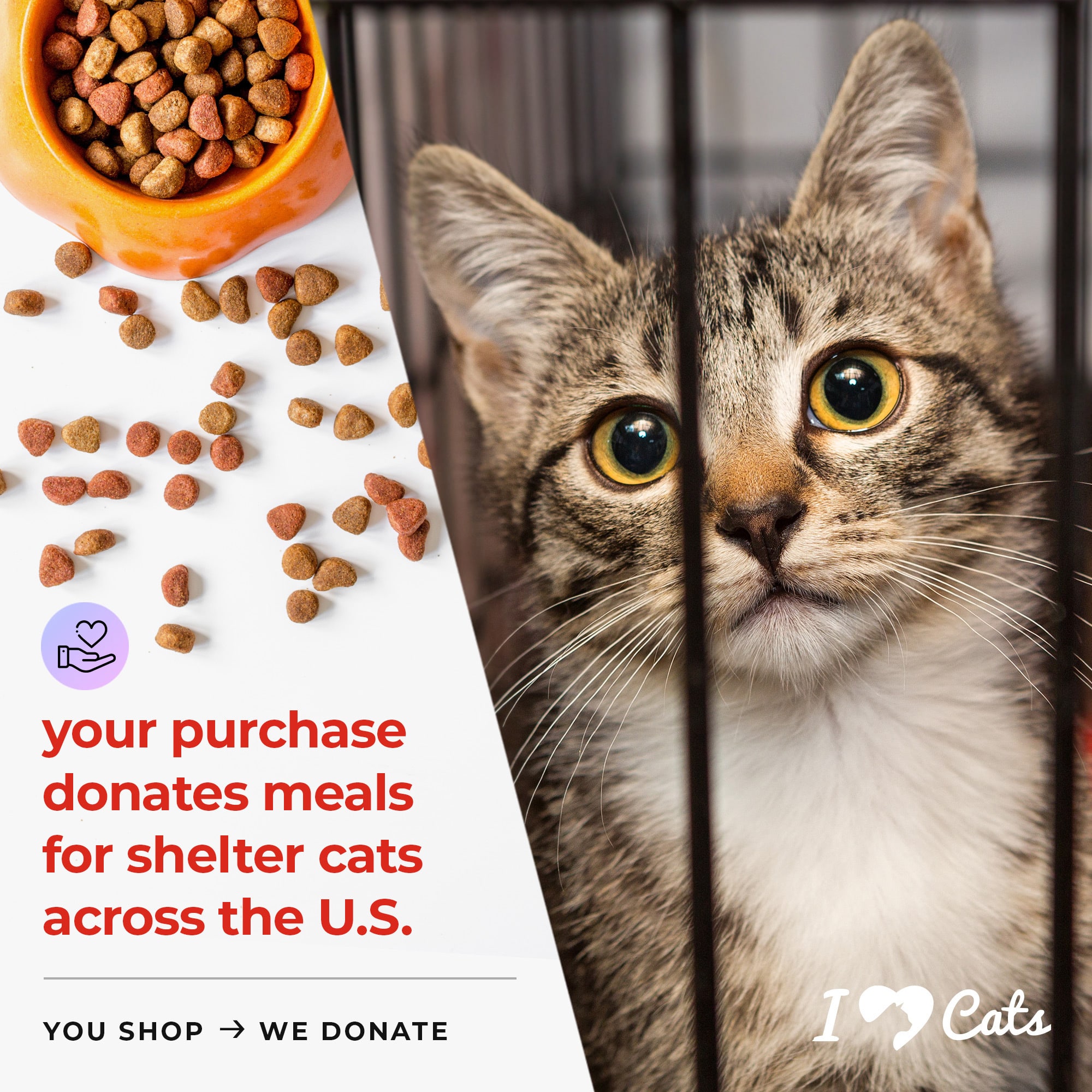 Fund 20 Meals for $15.00 and Get A Free - My Cat is My Valentine Walking Pretty Standard Tee White - Image 3