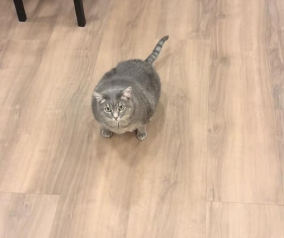 Willow staring intently at her mom