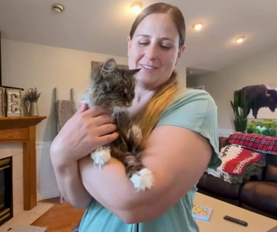 Chelsea adopts Mirage