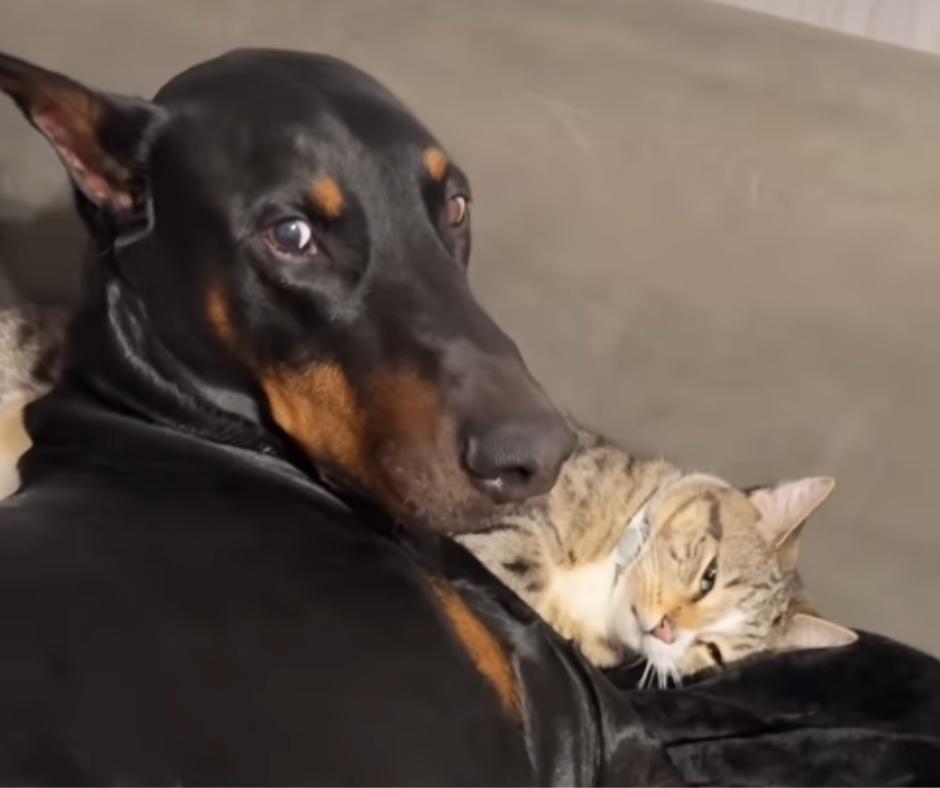 A Close Bond