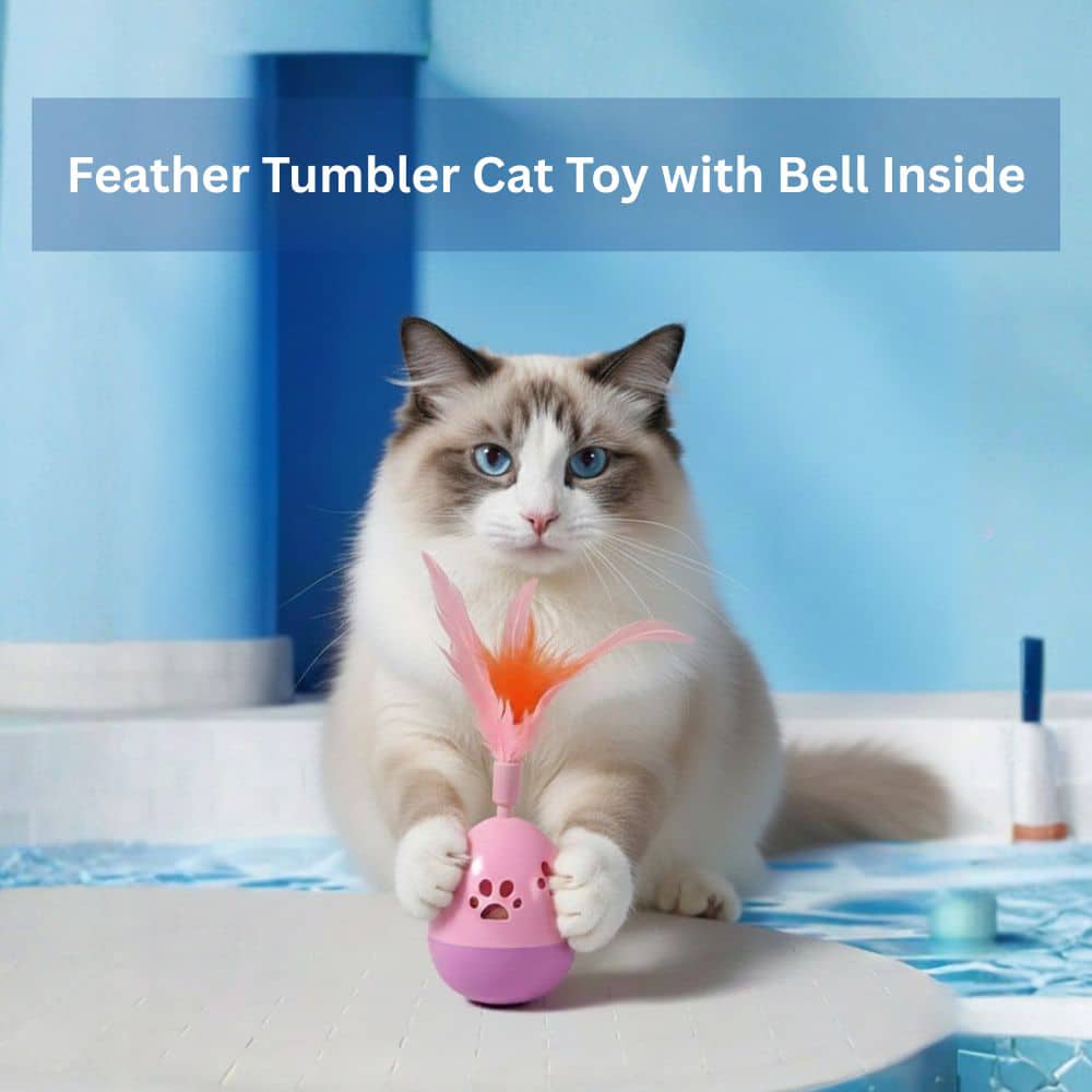 Secondary Product Image