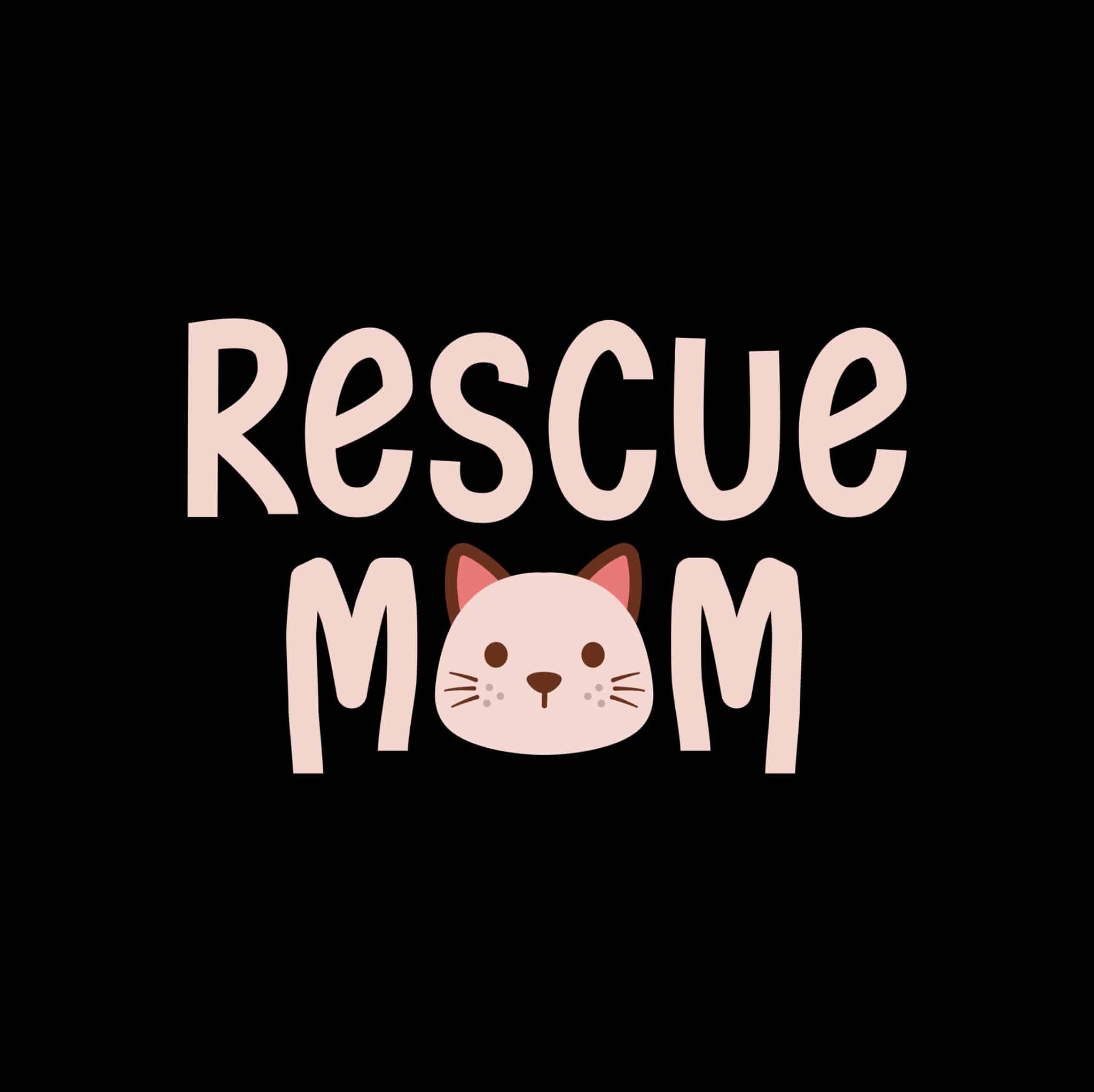 Secondary Product Image