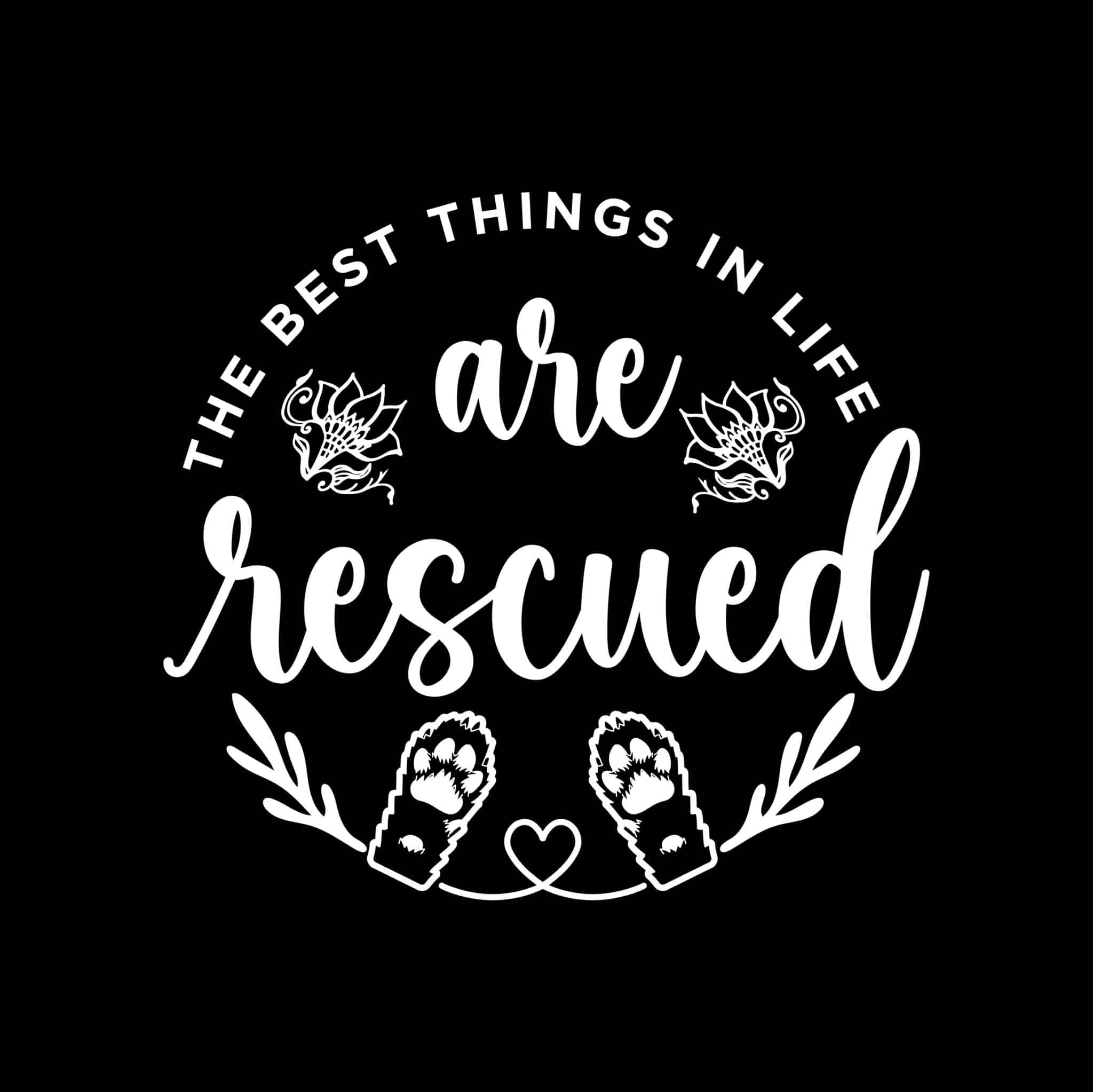 Secondary Product Image