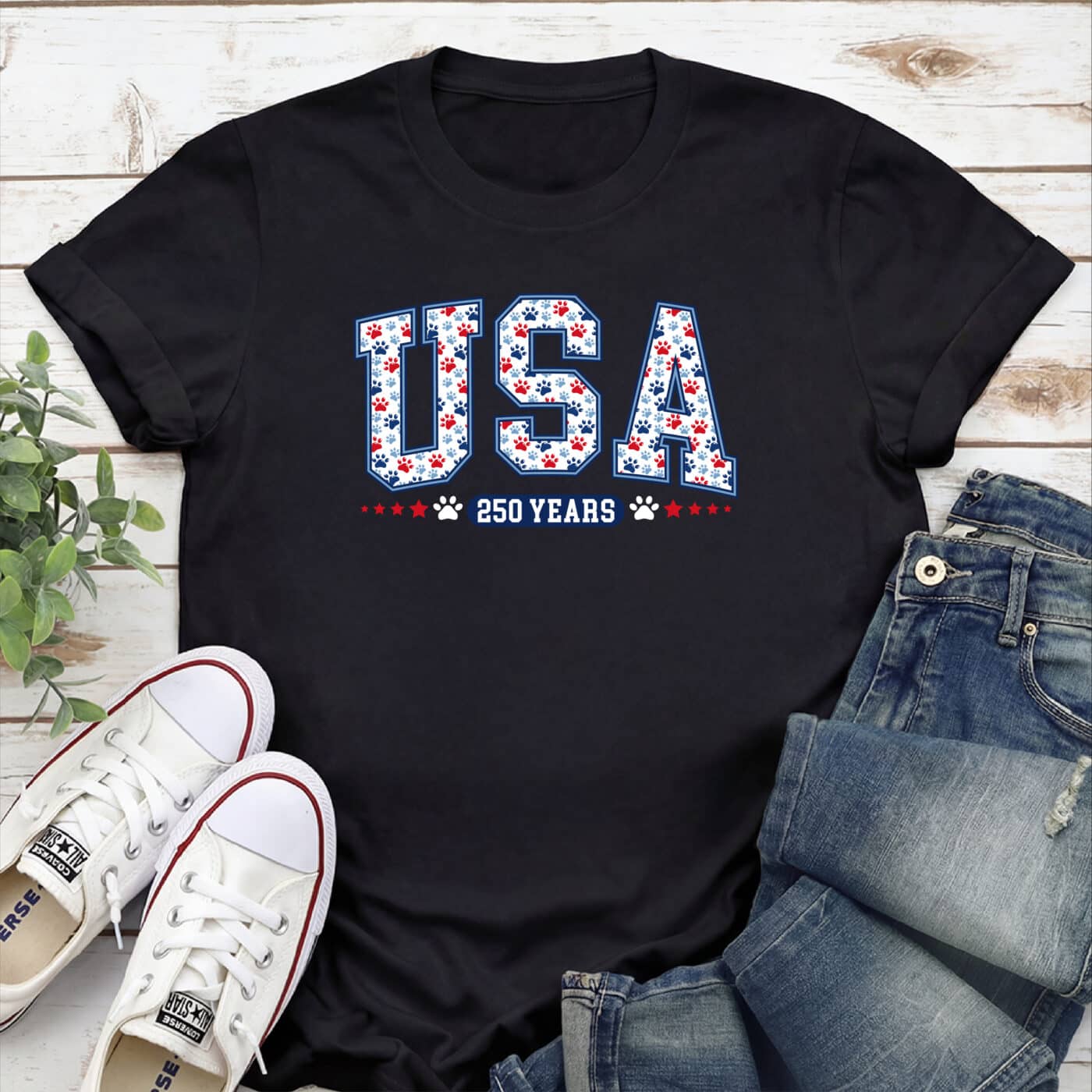 USA 250 Years Standard Tee Black