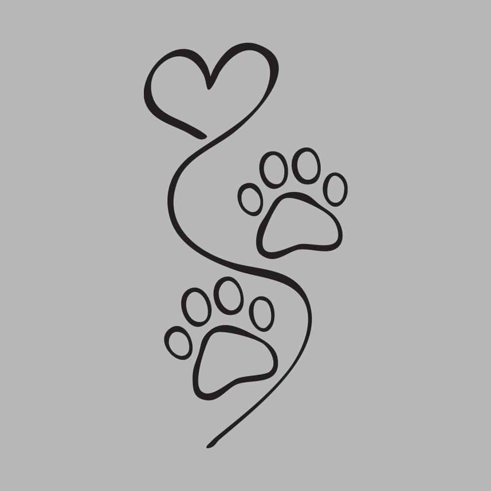 Secondary Product Image