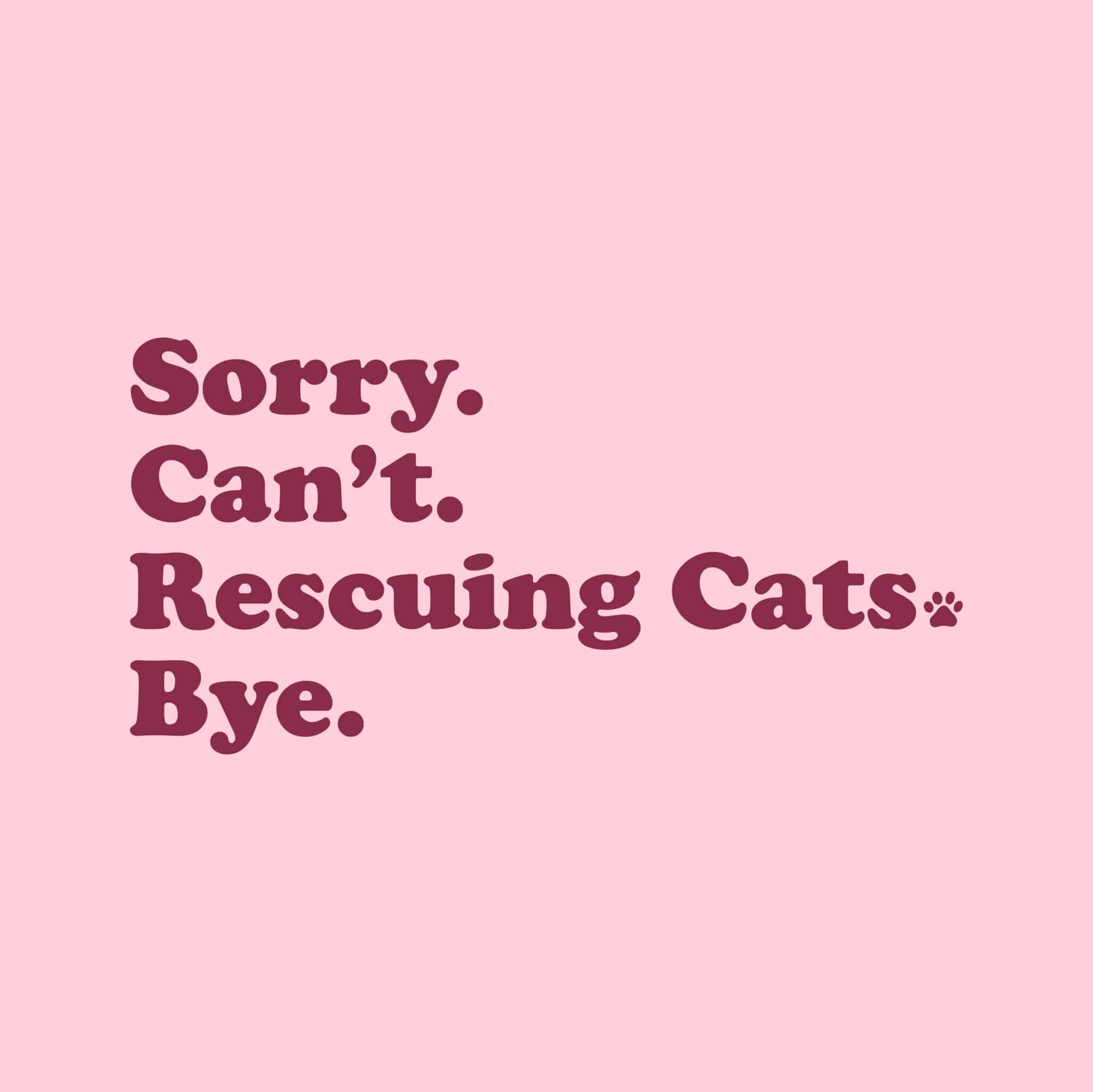 Sorry, Can’t. I’m Rescuing Cats Standard Tee Light Pink - Image 2