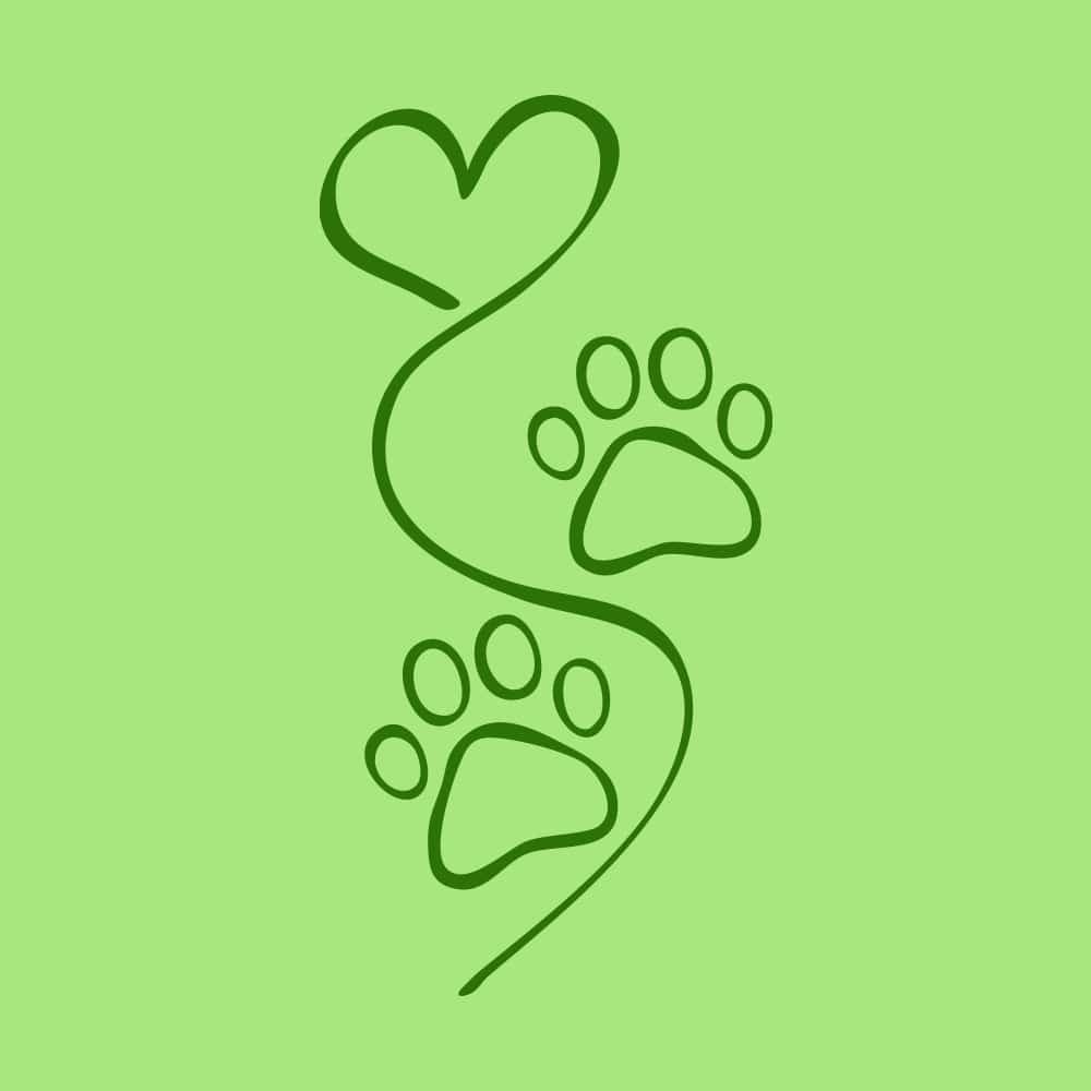 Secondary Product Image