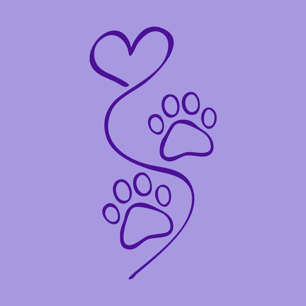 Secondary Product Image