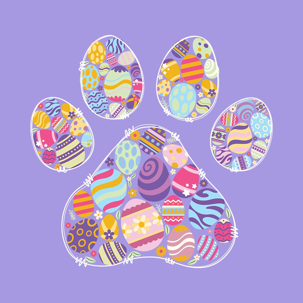 Secondary Product Image