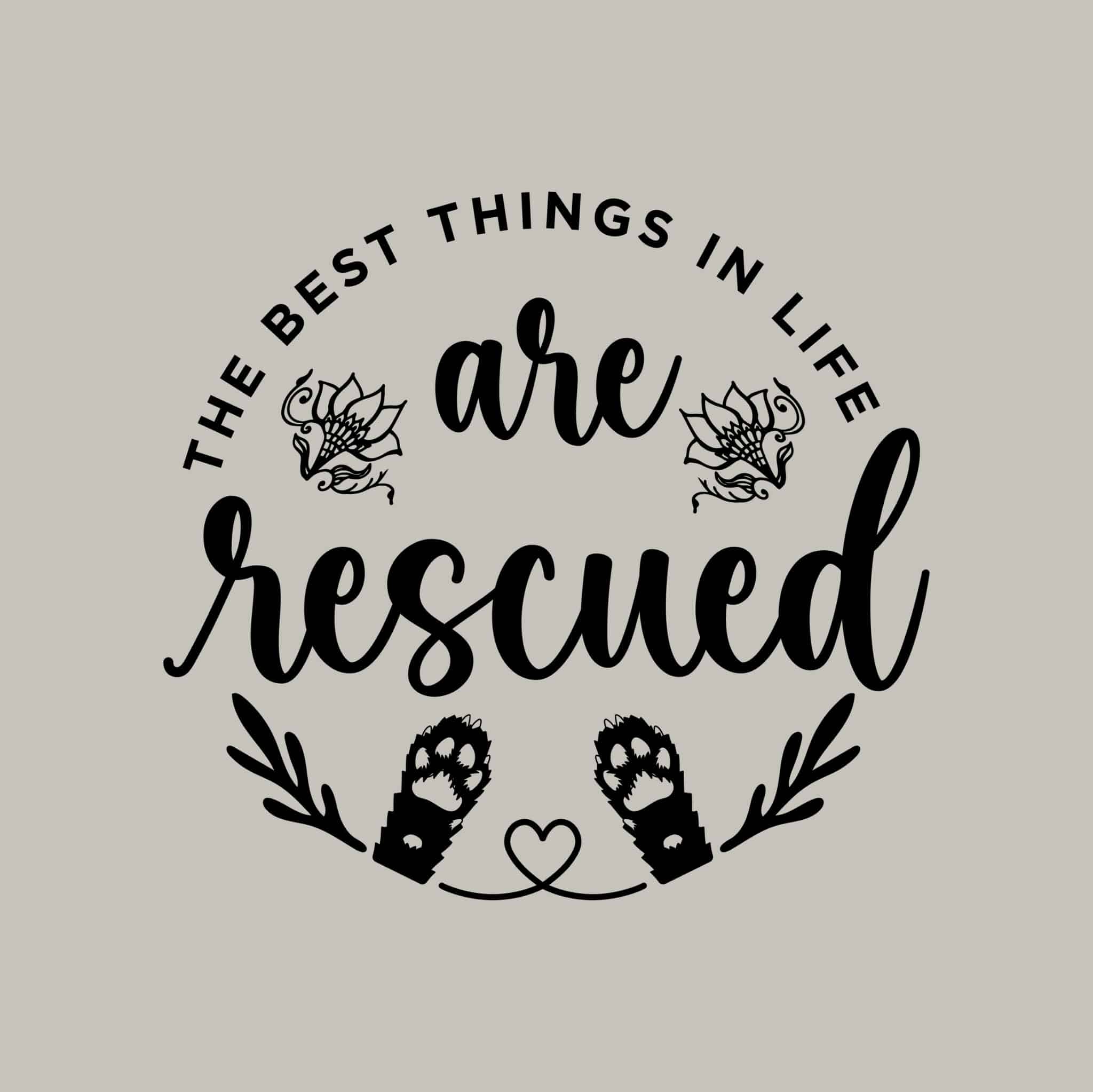 Secondary Product Image