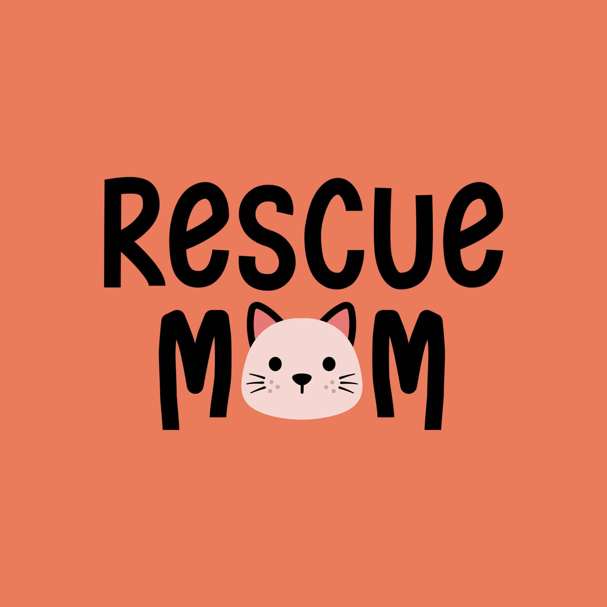 Secondary Product Image