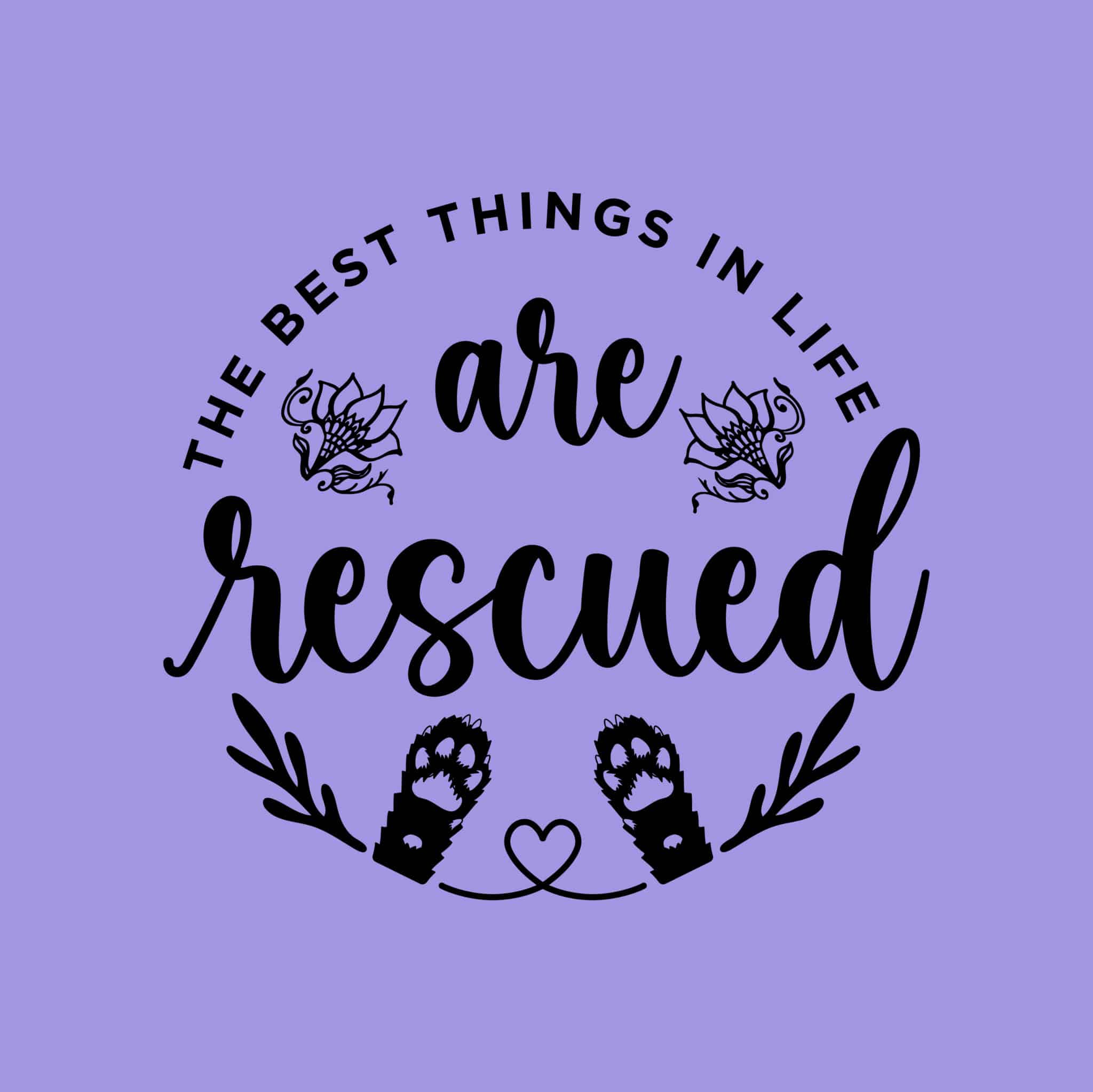 Secondary Product Image