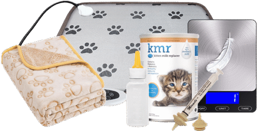 Group 224 (1) Group 224 (1)