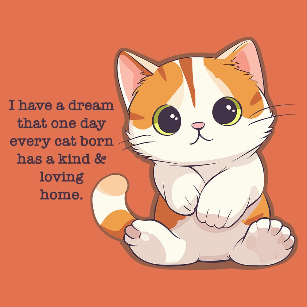 Secondary Product Image