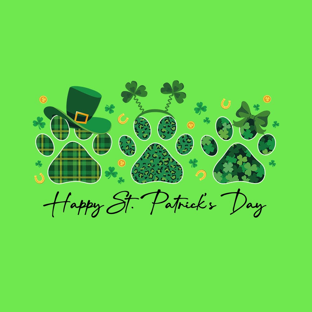 Secondary Product Image