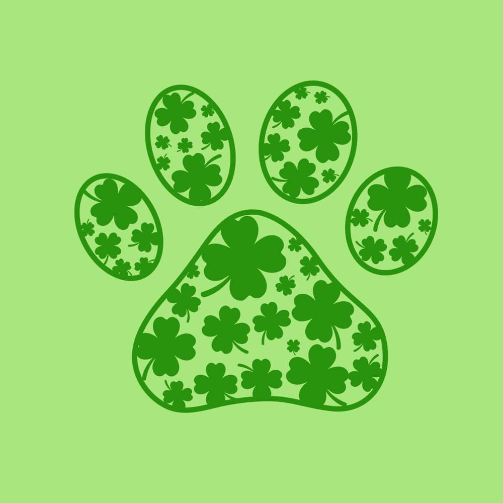 Secondary Product Image