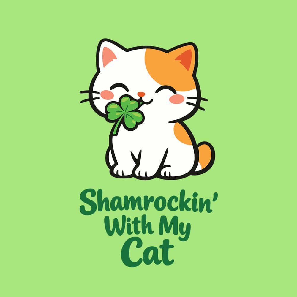 Secondary Product Image