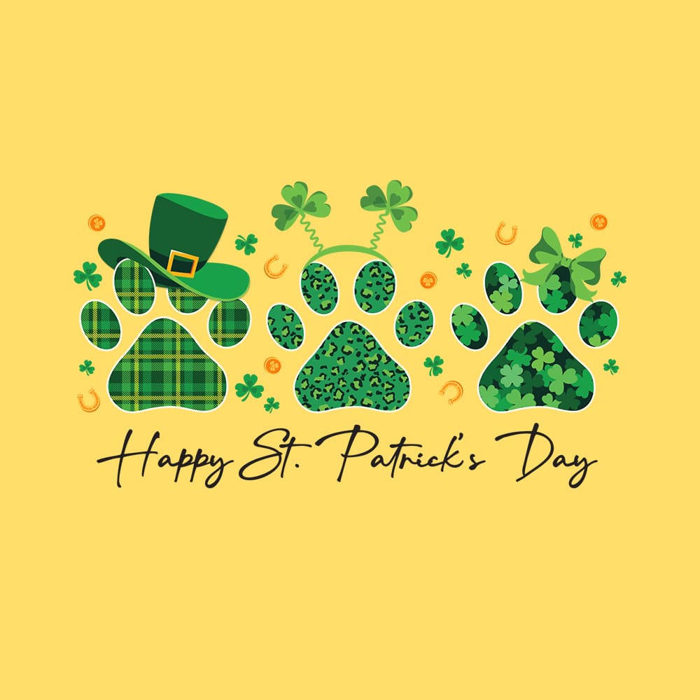 Secondary Product Image