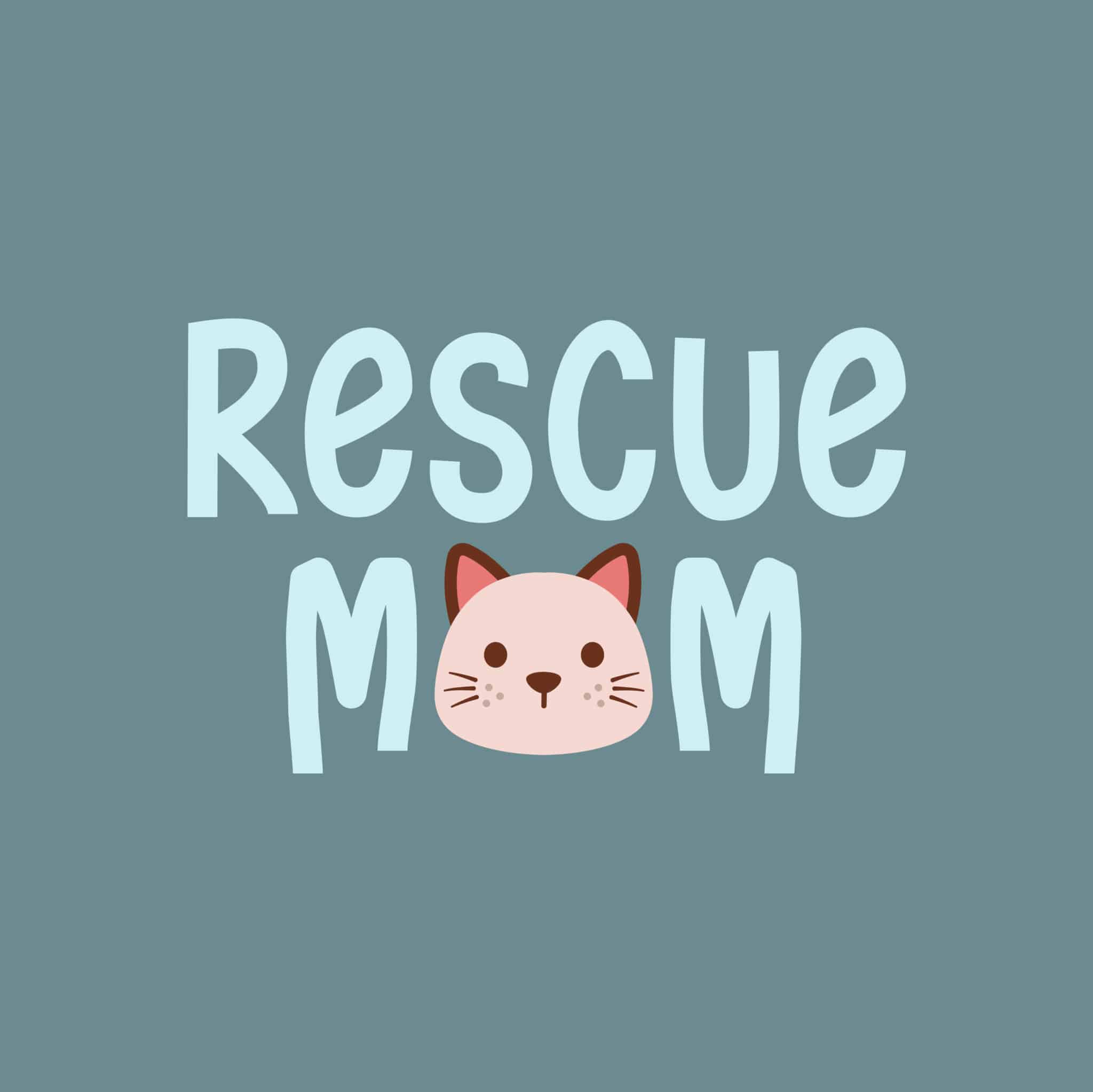 Secondary Product Image