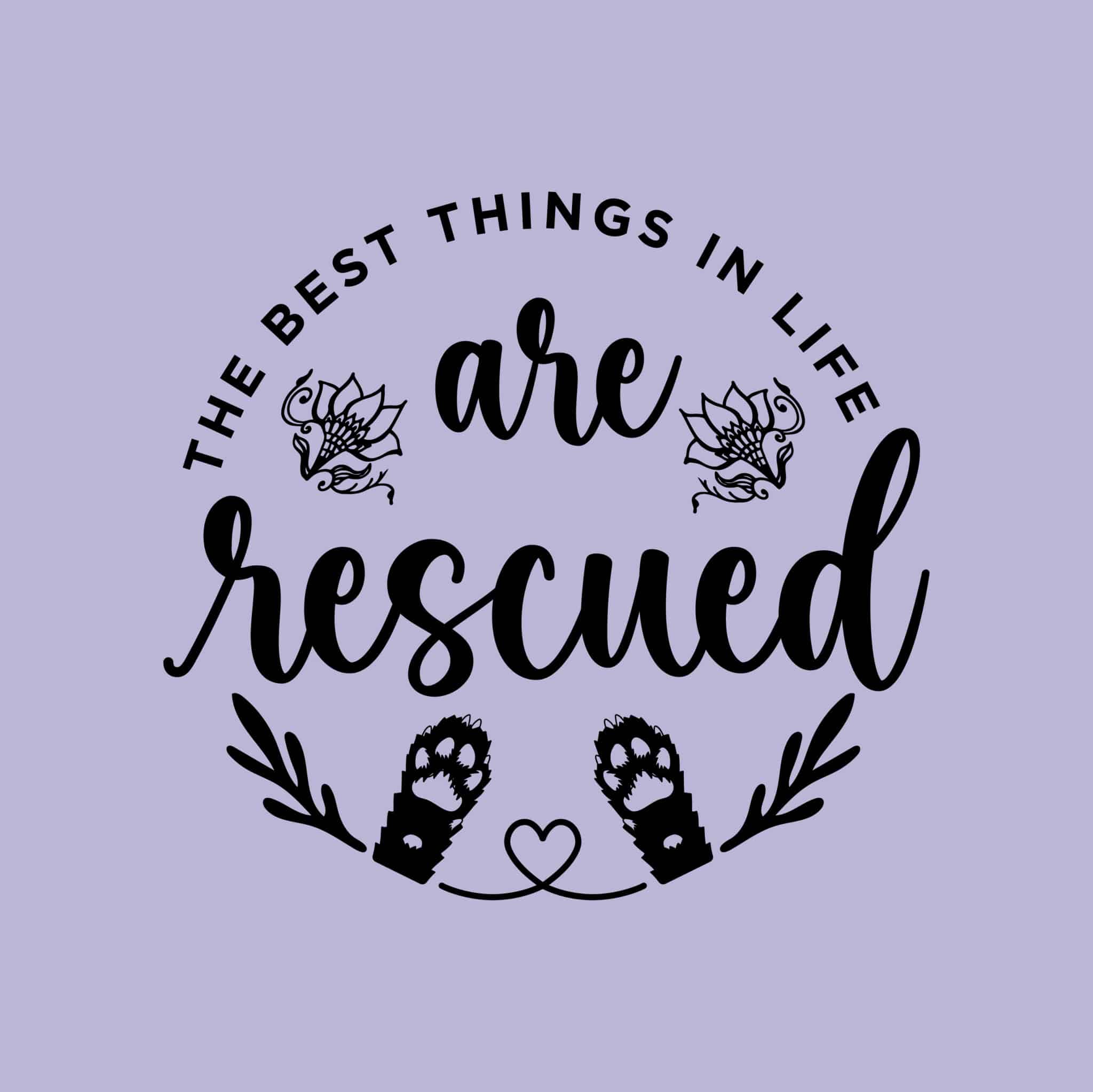 Secondary Product Image