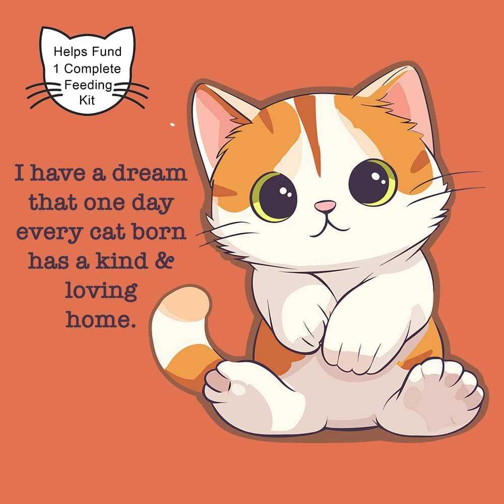 Comfort Colors Purrfect Start – Dream That One Day Every Cat Born Has a Kind & Loving Home Vintage Washed Tee - Terracotta - Helps Fund 1 Feeding Kit to Save Kittens’ Lives - Image 2