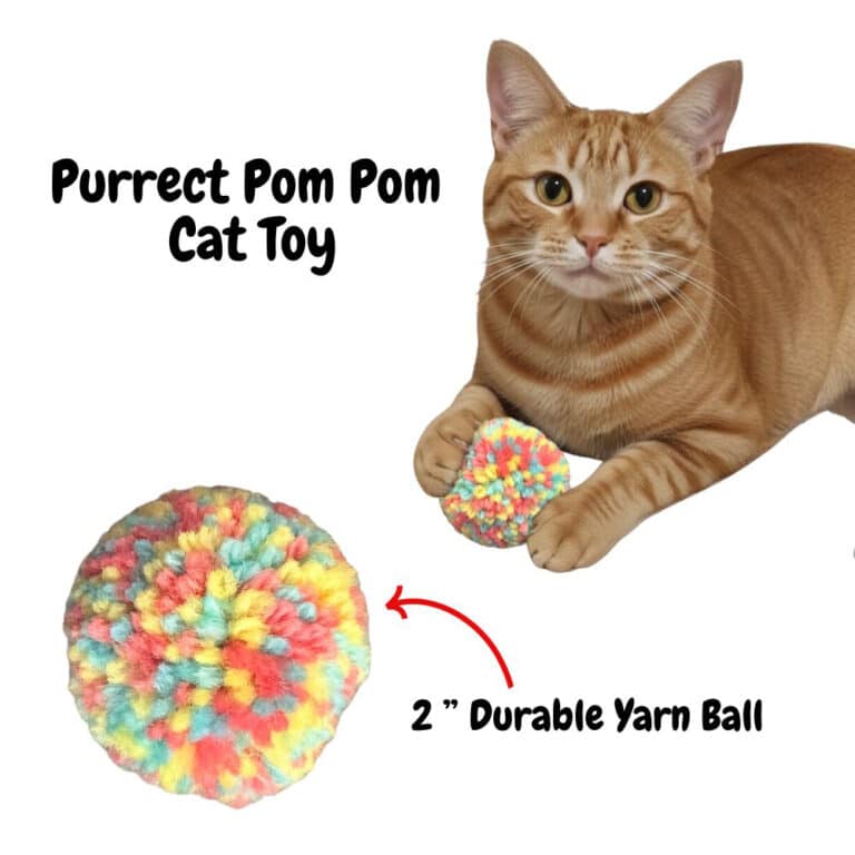 Purrfect Pom Pom –  Fun for Playful Paws! - Helps Feed Hungry Shelter Cats in Need