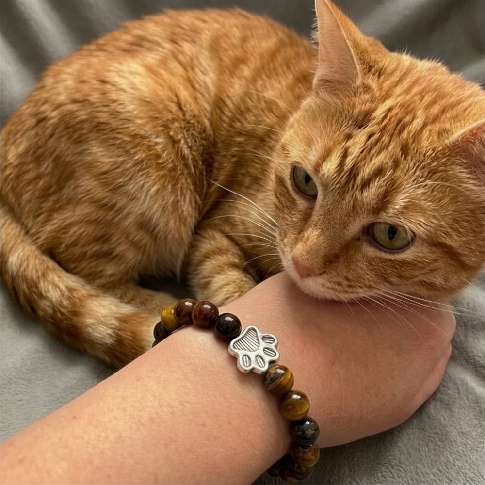 Secondary Product Image