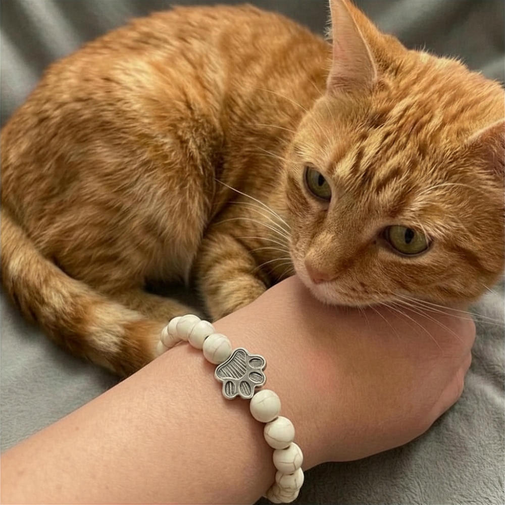 Secondary Product Image