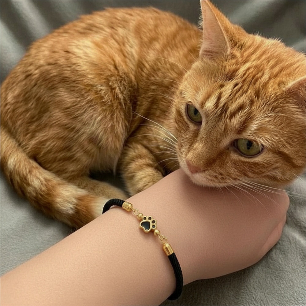 Secondary Product Image