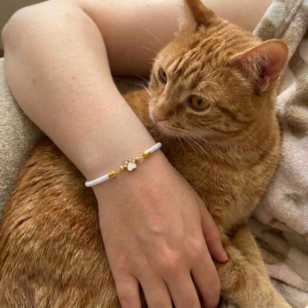 Secondary Product Image