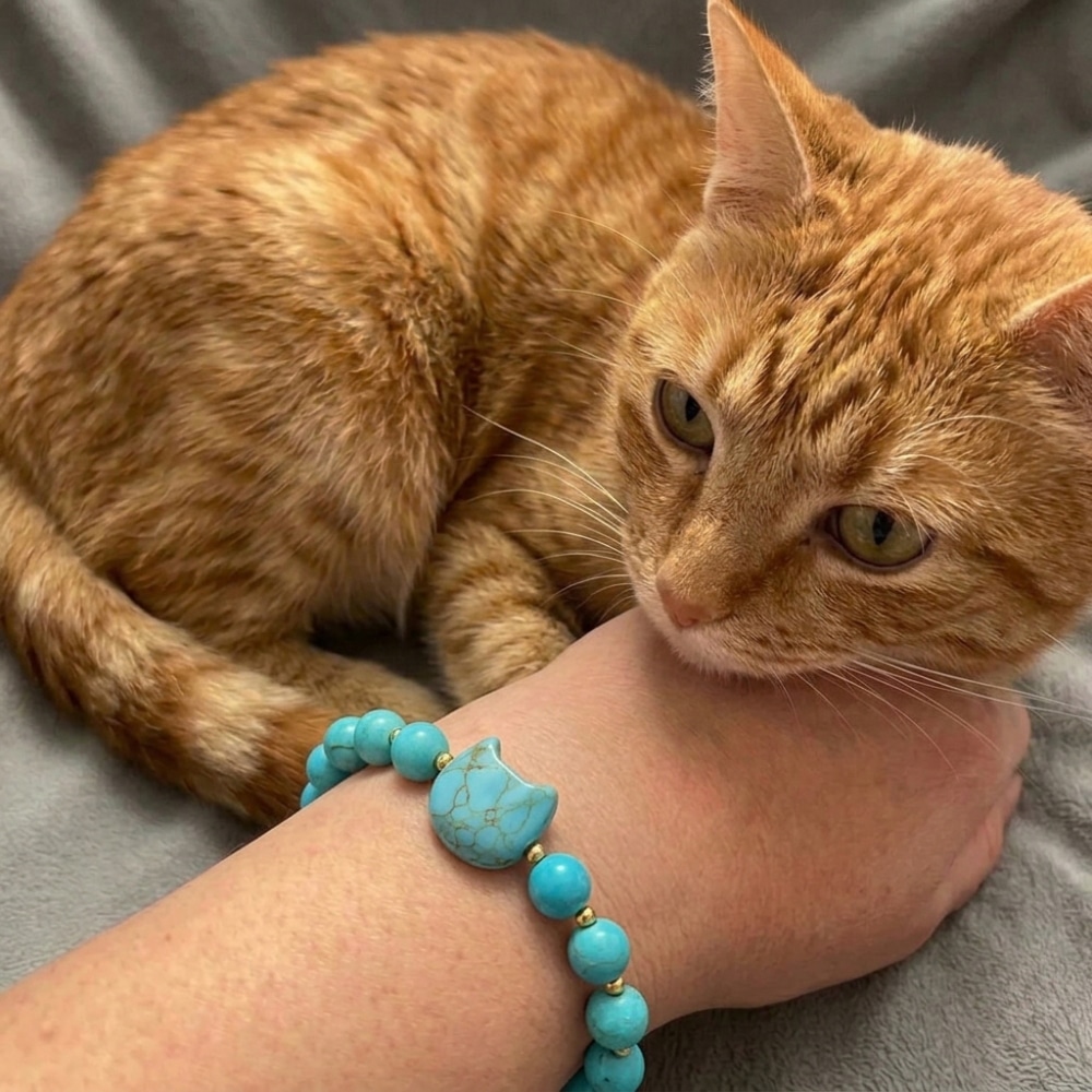 Secondary Product Image