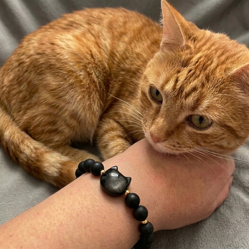 Secondary Product Image