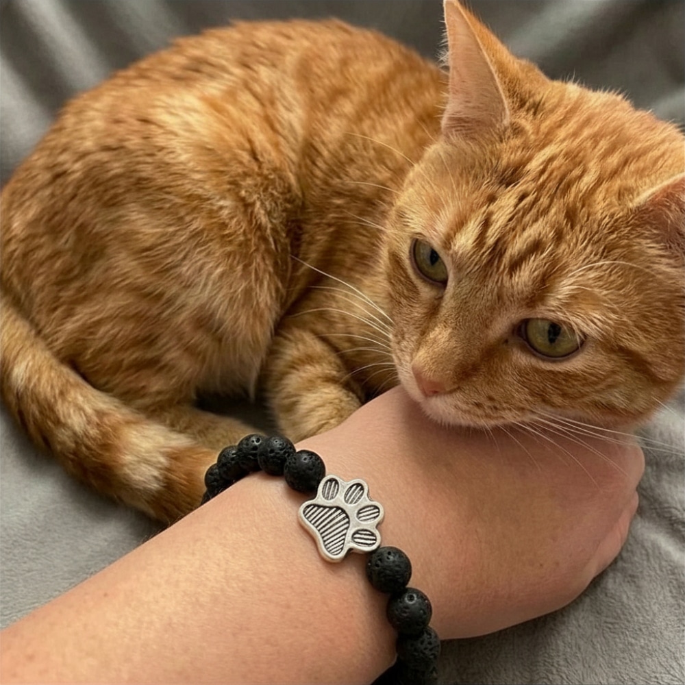 Secondary Product Image