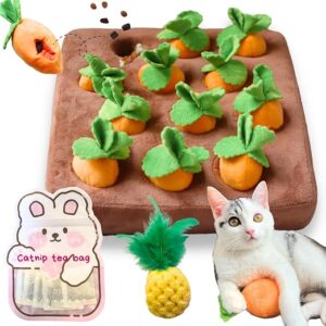 Carrot Catnip Toys
