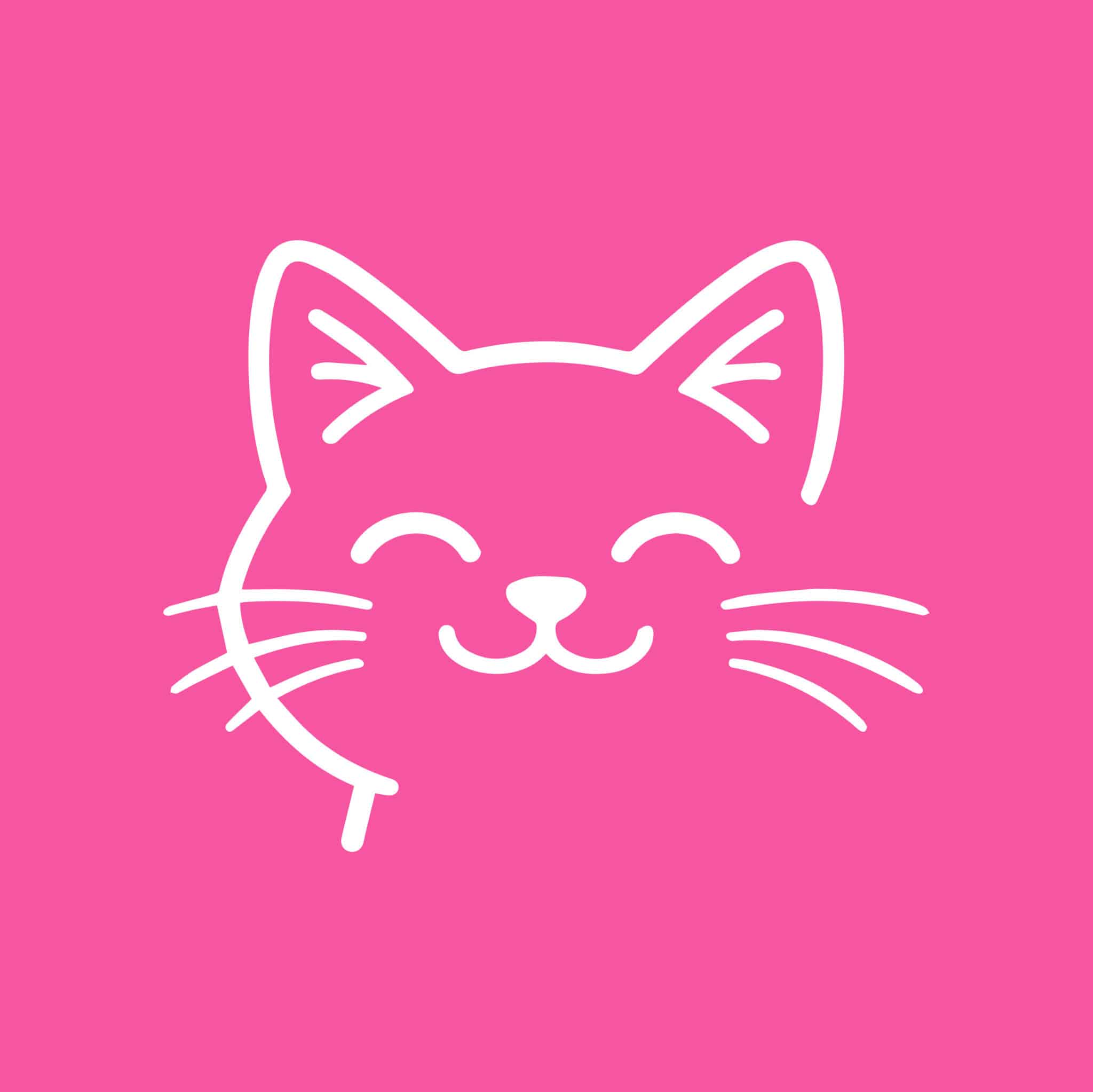 Secondary Product Image