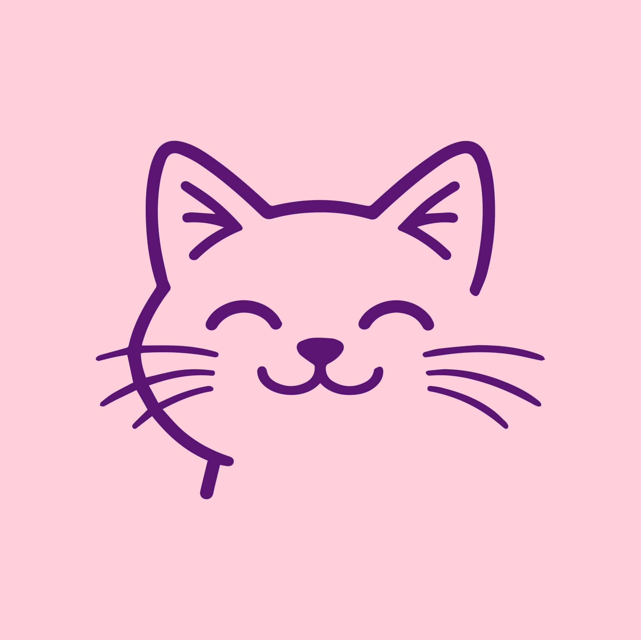 Secondary Product Image