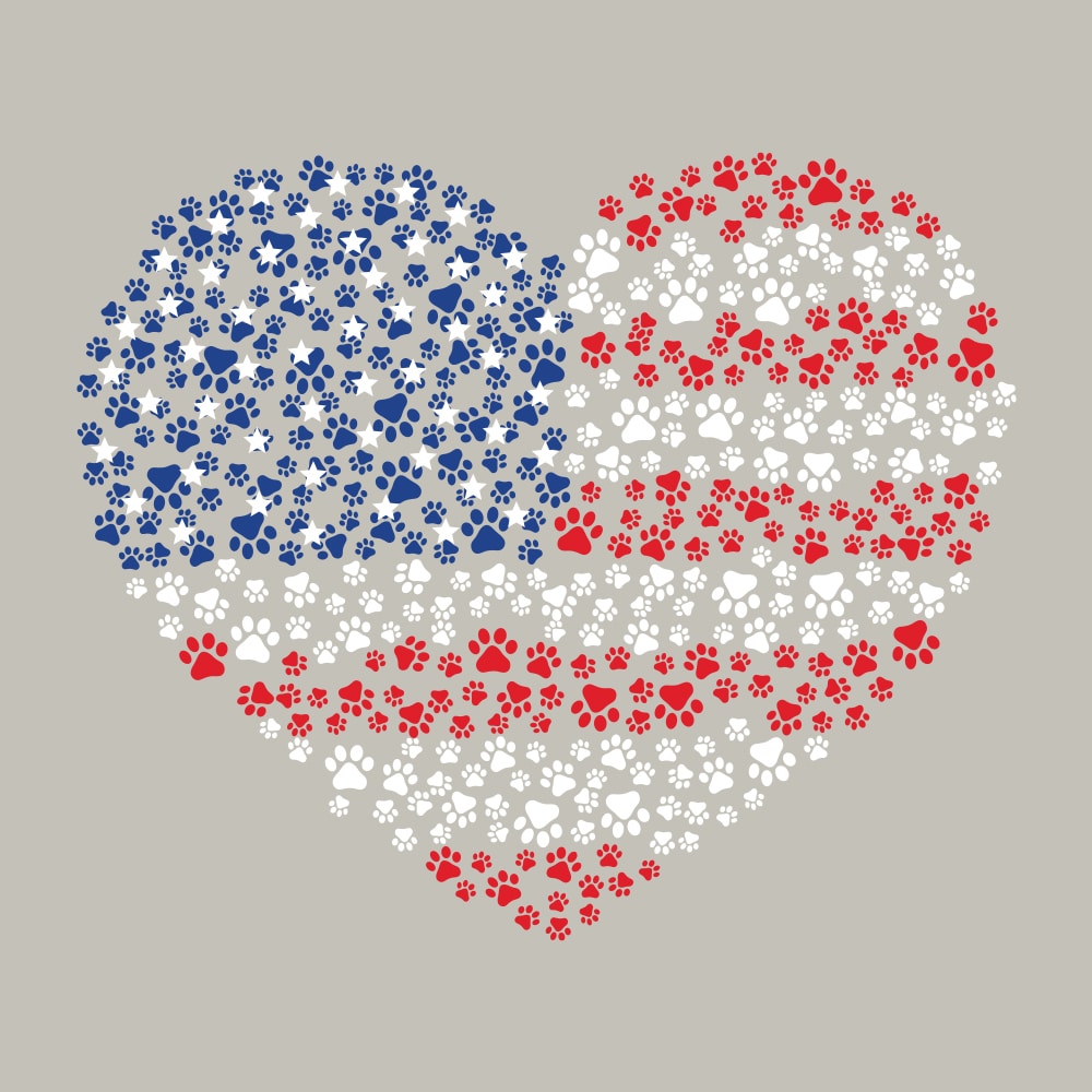 Secondary Product Image