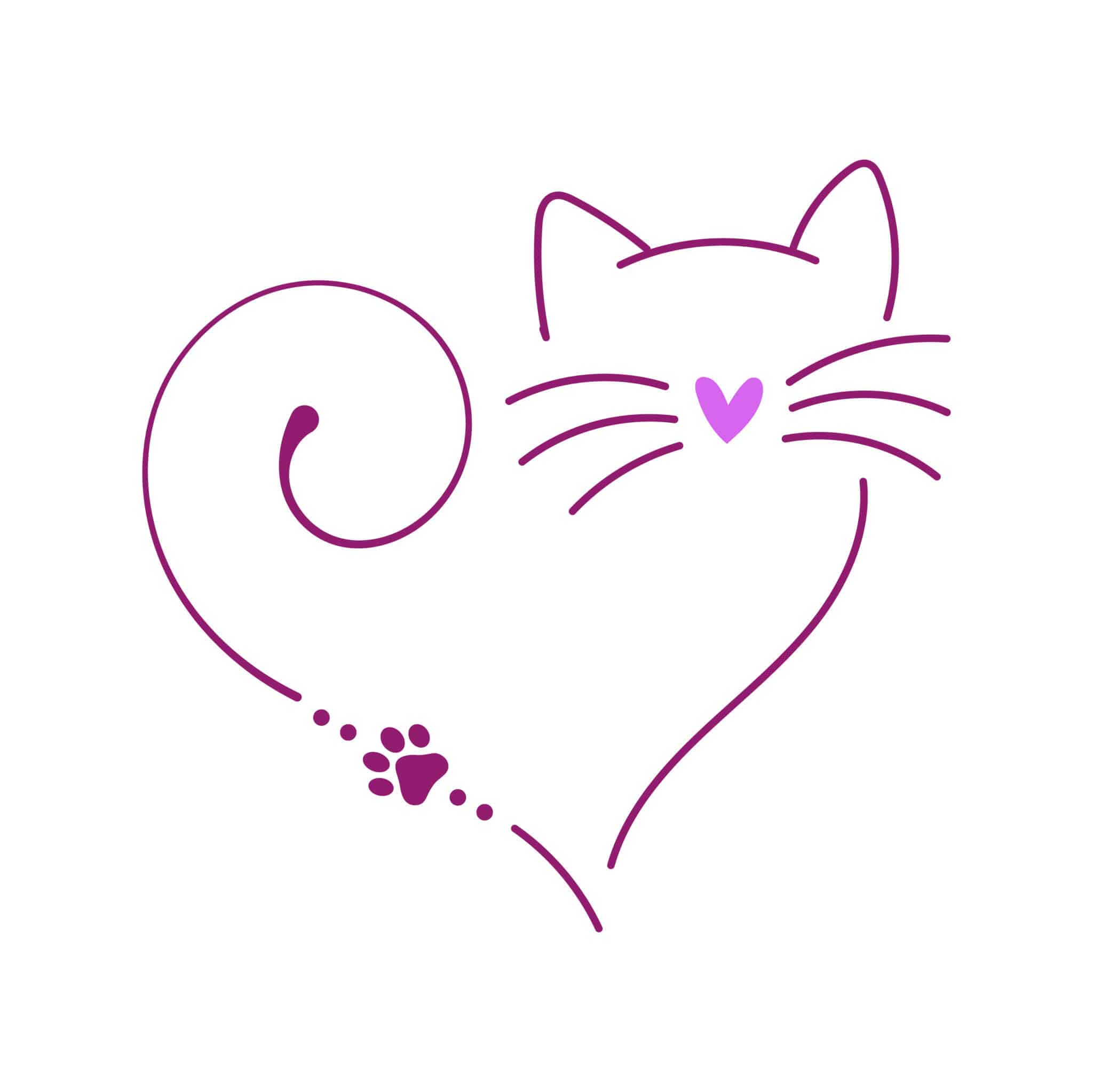 Secondary Product Image