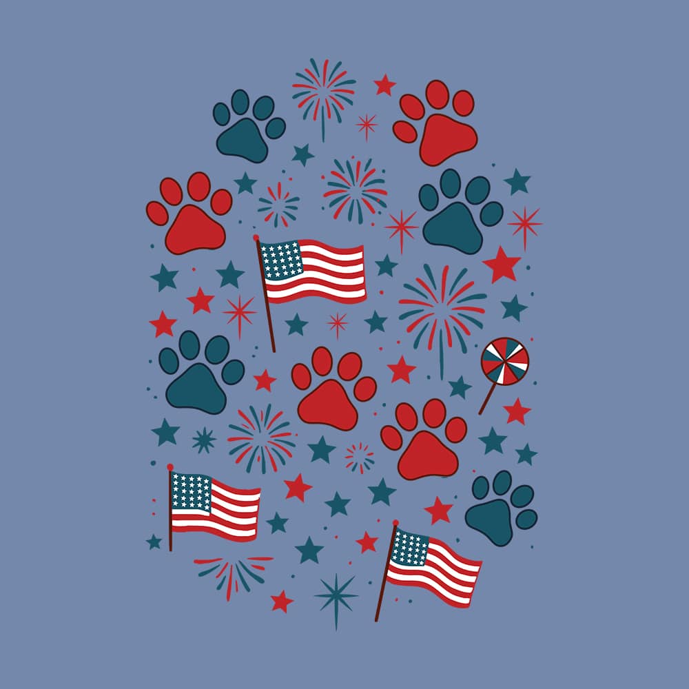 Secondary Product Image