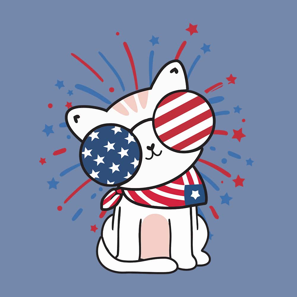 Secondary Product Image