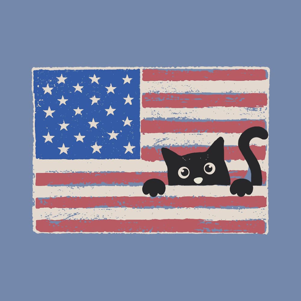 Secondary Product Image