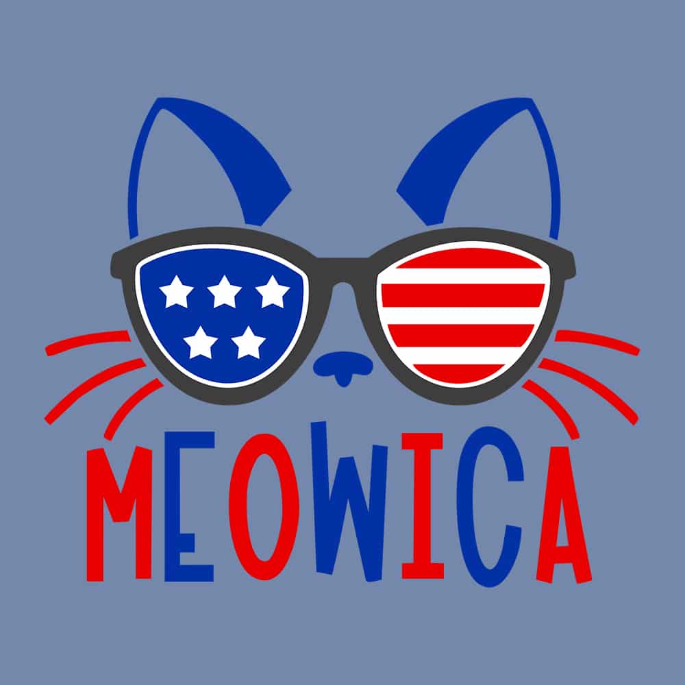 Secondary Product Image