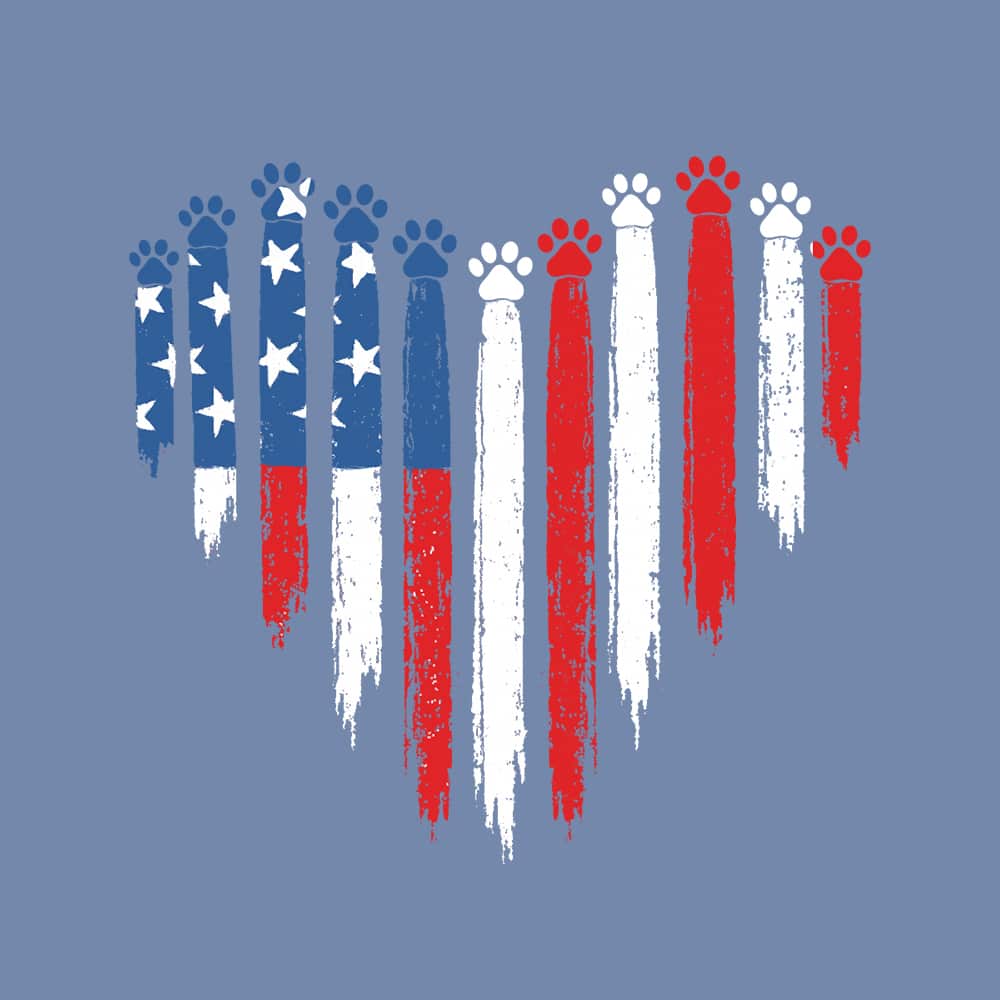 Secondary Product Image