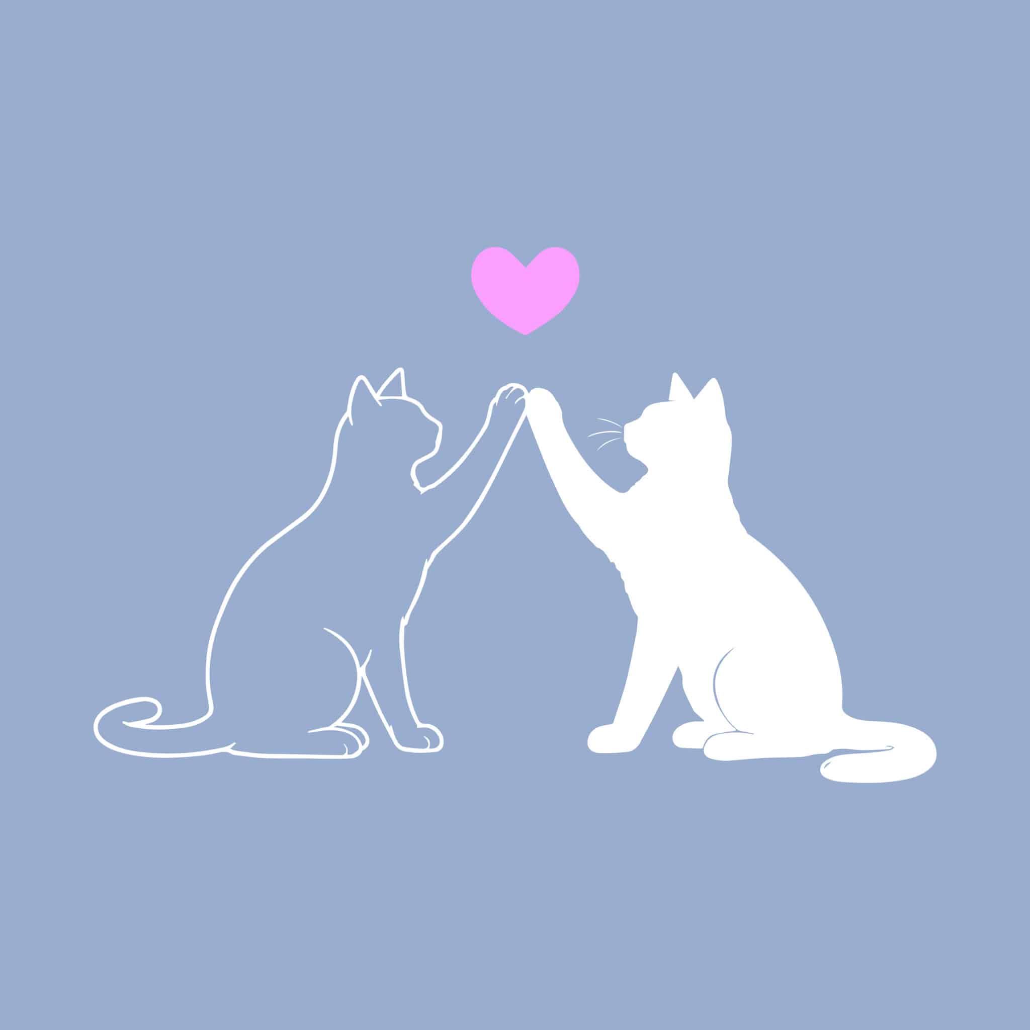 Secondary Product Image