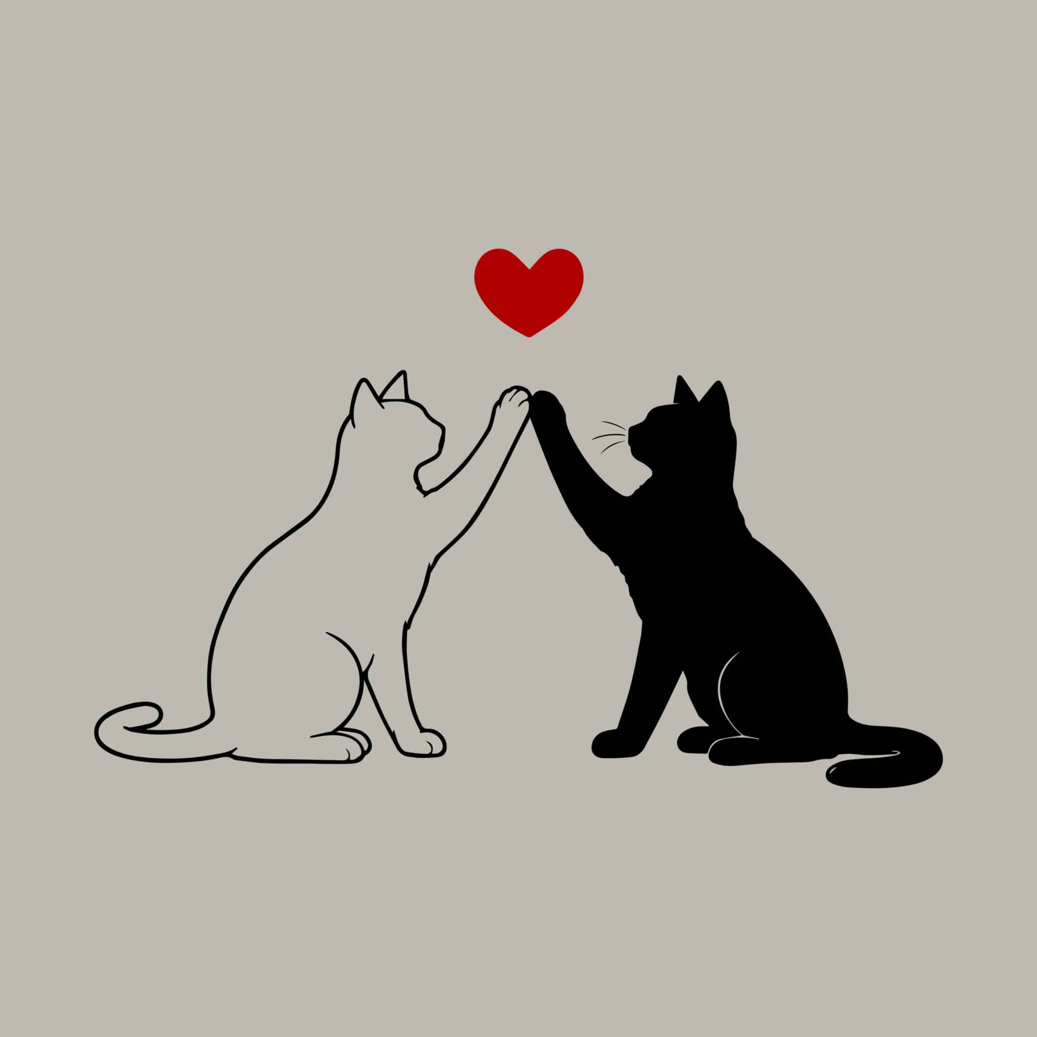 Secondary Product Image