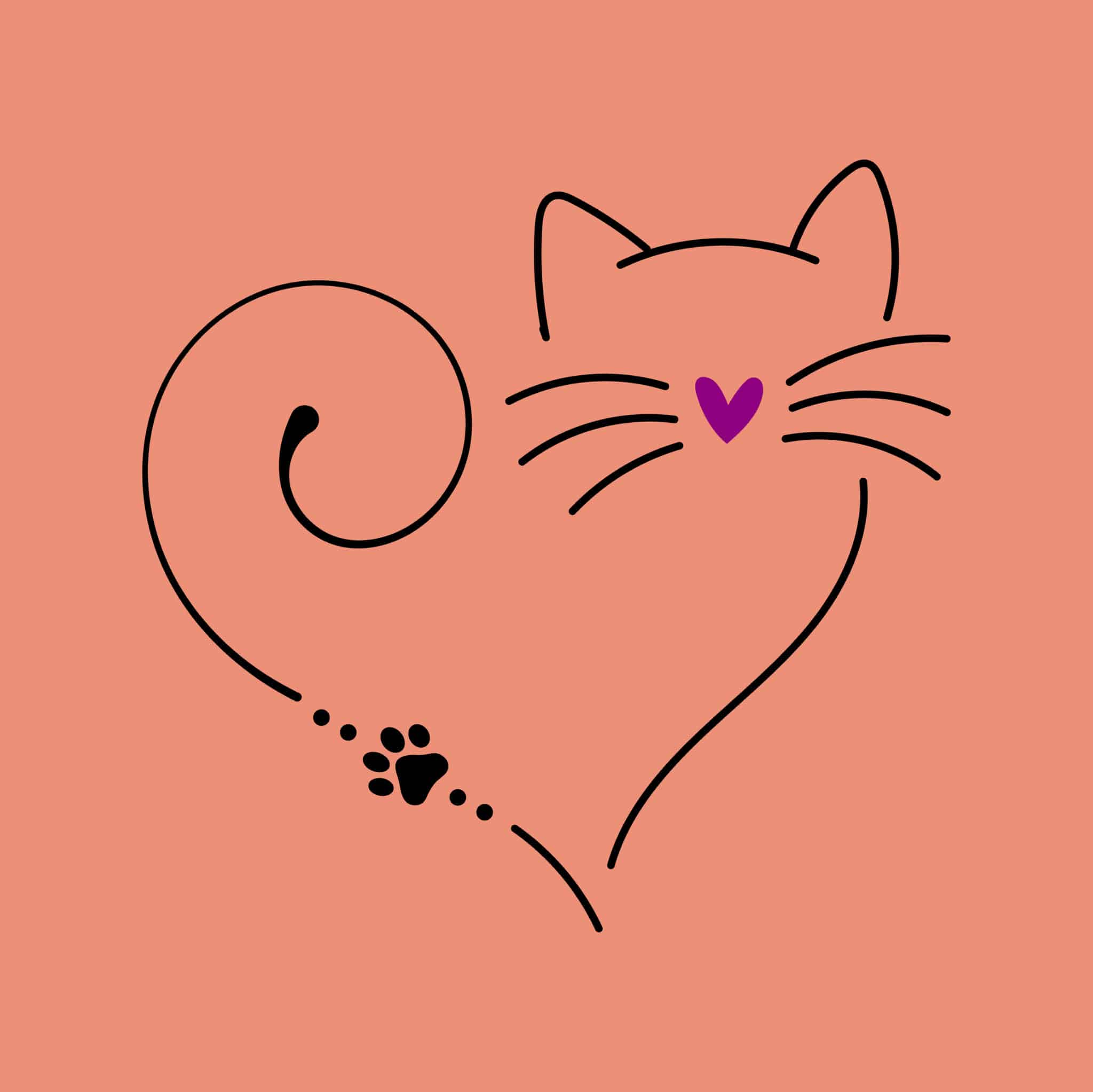 Secondary Product Image