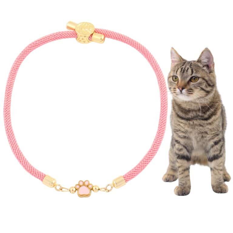 Forever Paw Adjustable Bracelet- Pink