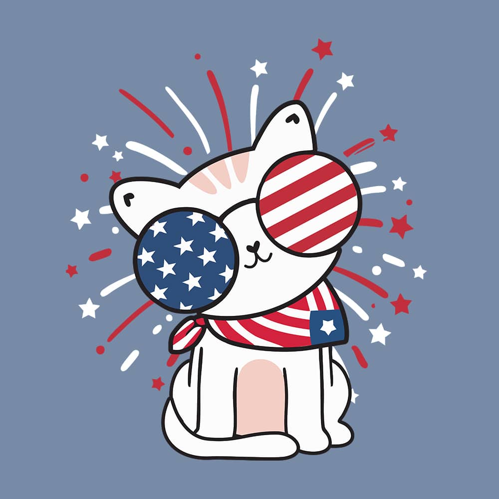 Secondary Product Image