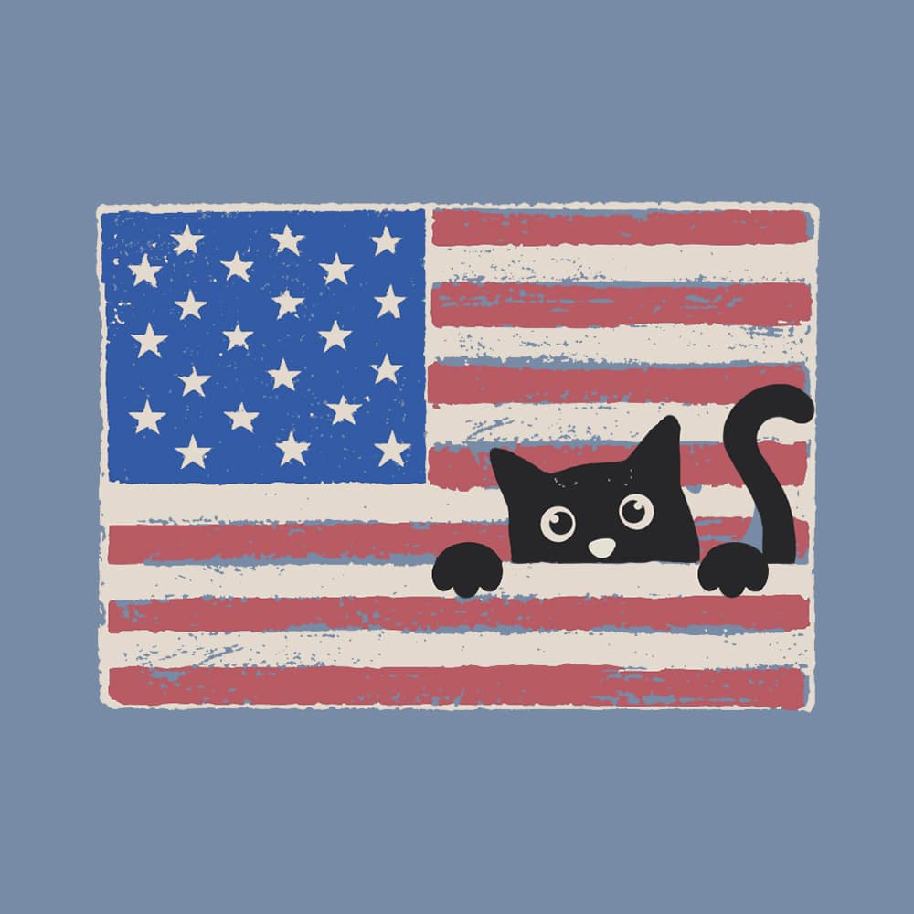 Secondary Product Image