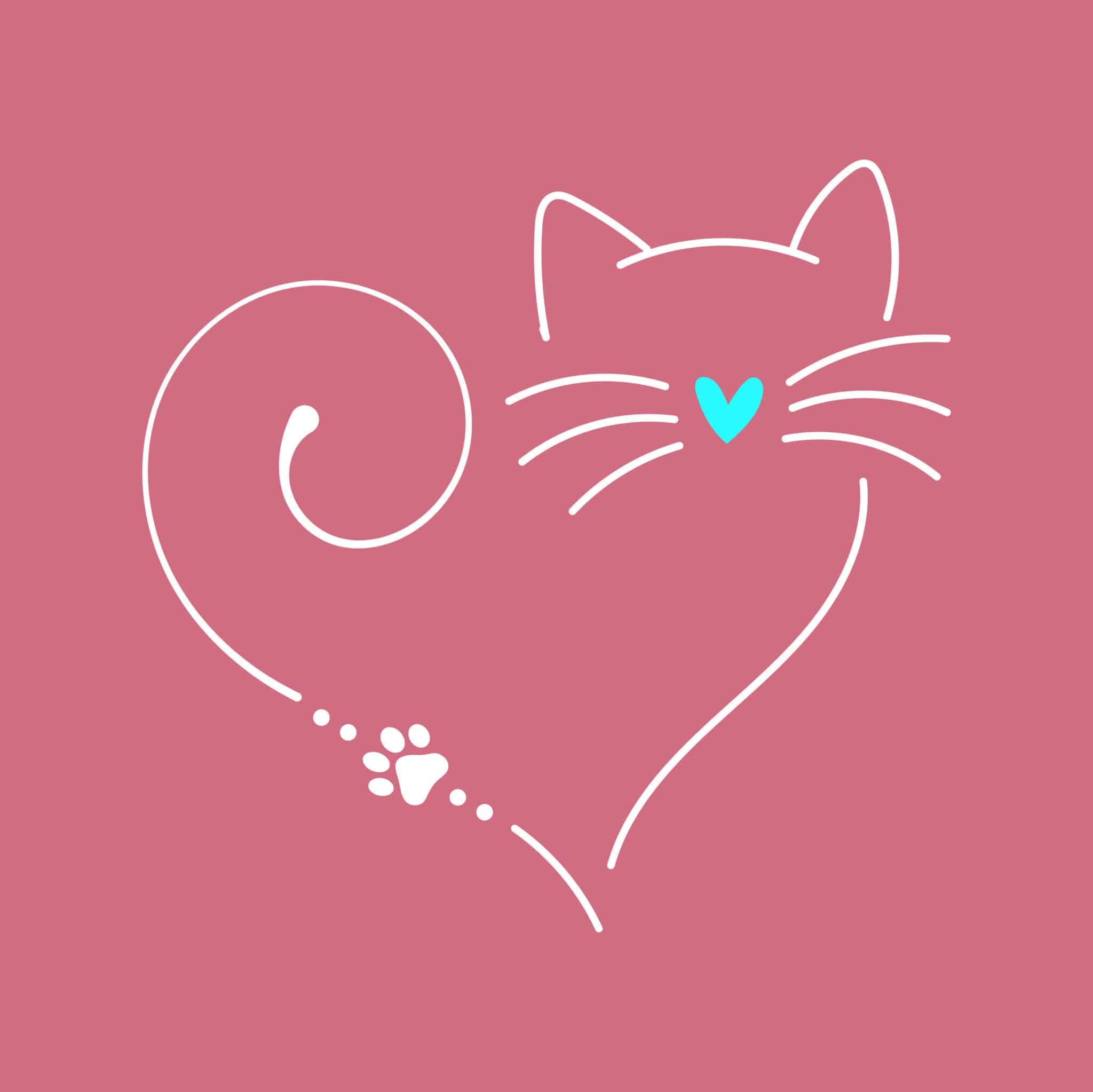 Secondary Product Image